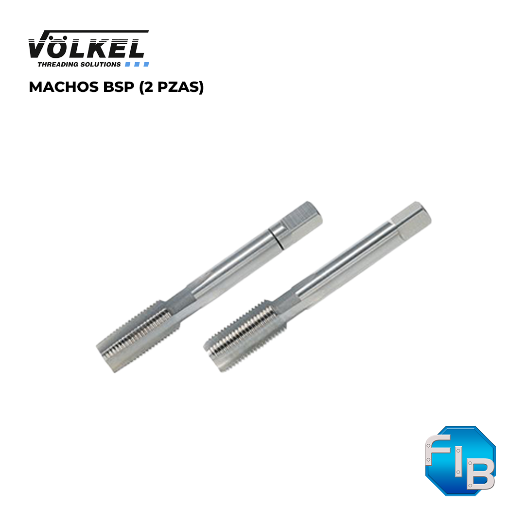 machos bsp 2 pzas volkel